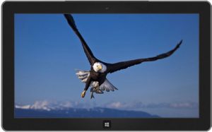 windows-7-temalari-2