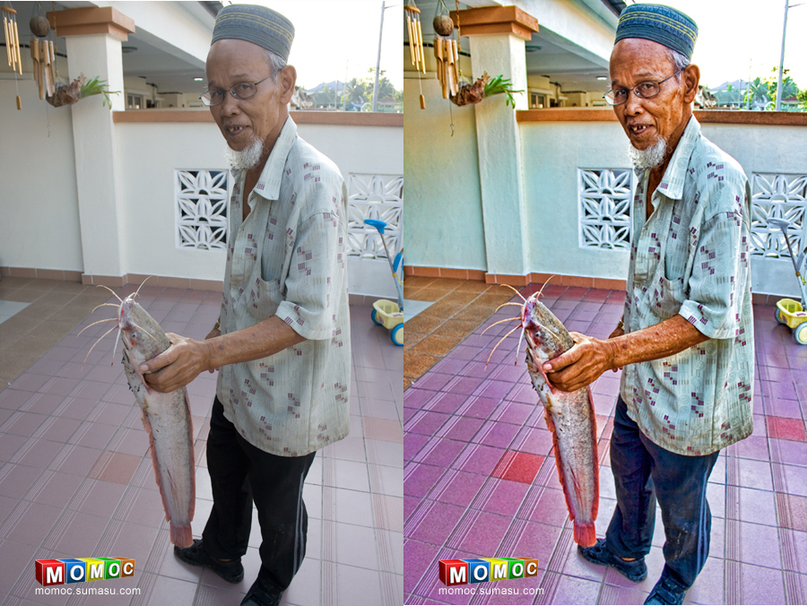 Resmi büyütmek için tıklayın. Resmi büyütmek için tıklayın.