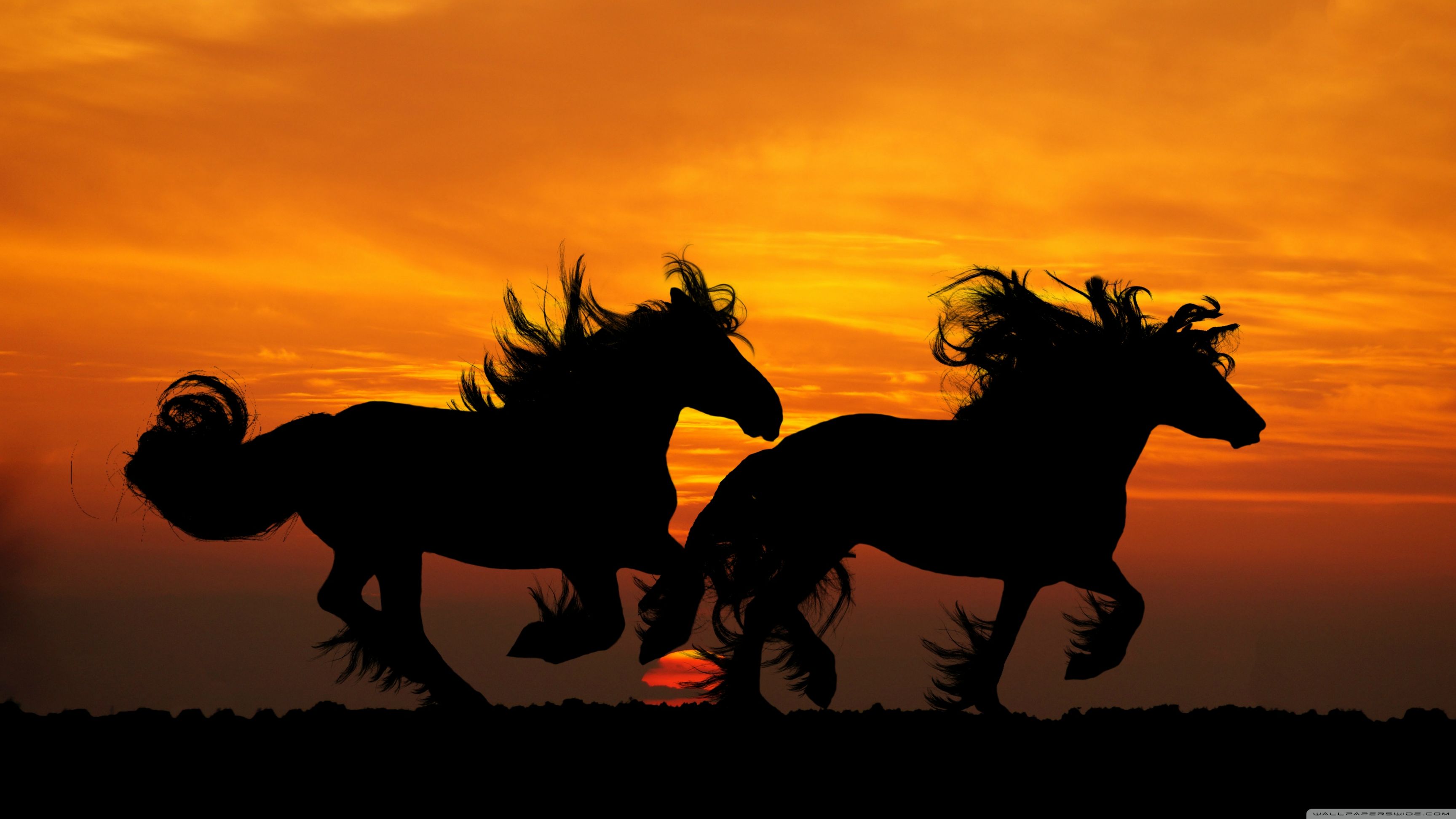 Resmi büyütmek için tıklayın. Resmi büyütmek için tıklayın.