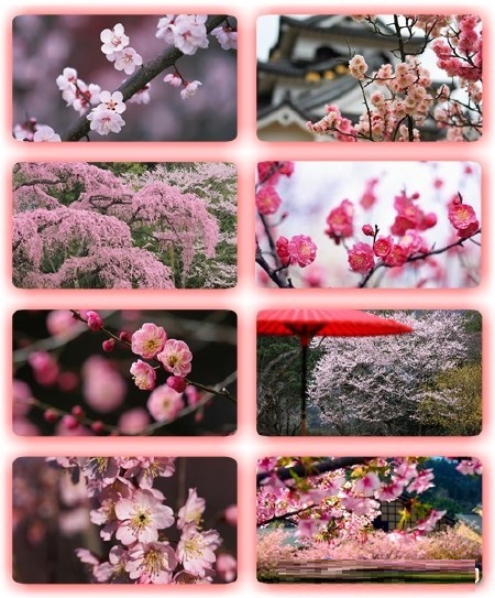 Resmi büyütmek için tıklayın. Resmi büyütmek için tıklayın.