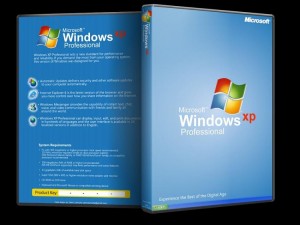 Windows_XP_Professional-300x225