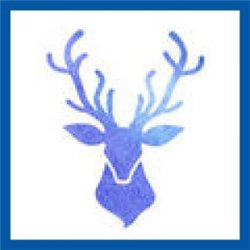 pampa-browser-3.2.2.18-1