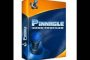 pinnacle
