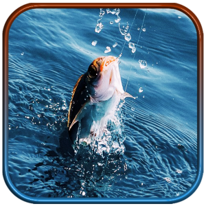 real-fishing-pro-3d