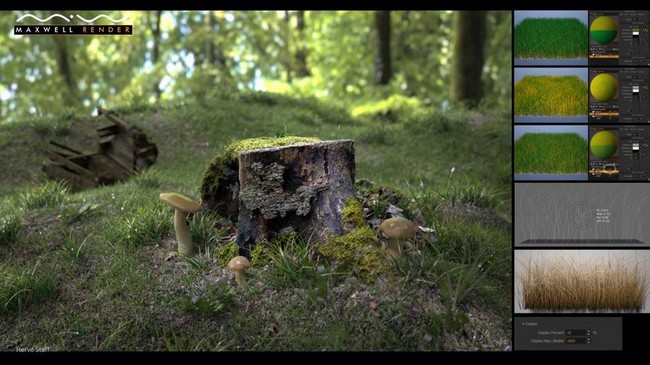 Resmi büyütmek için tıklayın. Resmi büyütmek için tıklayın.