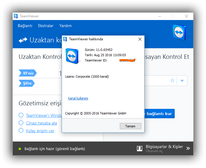 TeamViewer Corporate katılımsız