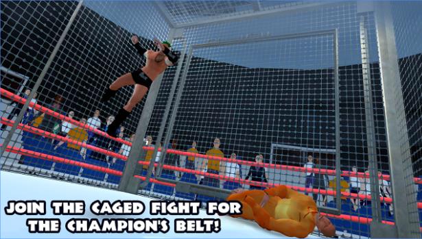 Wrestling Fighting Revolution