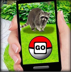 pocket-animals-go3