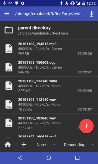 recforge-ii-pro-audio-recorder