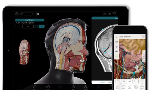 visible-body-human-anatomy-atlas-2017-ios-wide