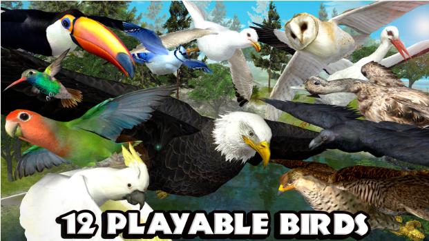 ultimate-bird-simulator