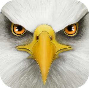 ultimate-bird-simulator3