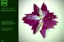 Adobe Dreamweaver CC 2018