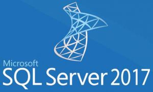 Microsoft SQL Server Developer 2017