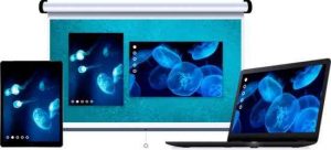 Squirrels Reflector Teacher