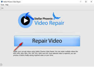 Digital Video Repair (2)