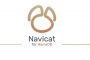 Navicat for MariaDB