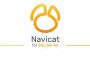 Navicat for SQL Server