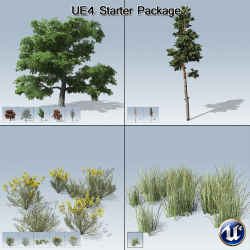 Free Speedtree Model Bundle for UE4 Subscrıptıon