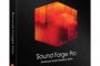 MAGIX Sound Forge Pro