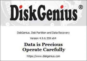 DiskGenius Professional
