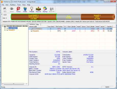DiskGenius Professional