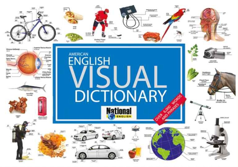 English Visual Vocabulary Builder İndir - Full v1.4.1